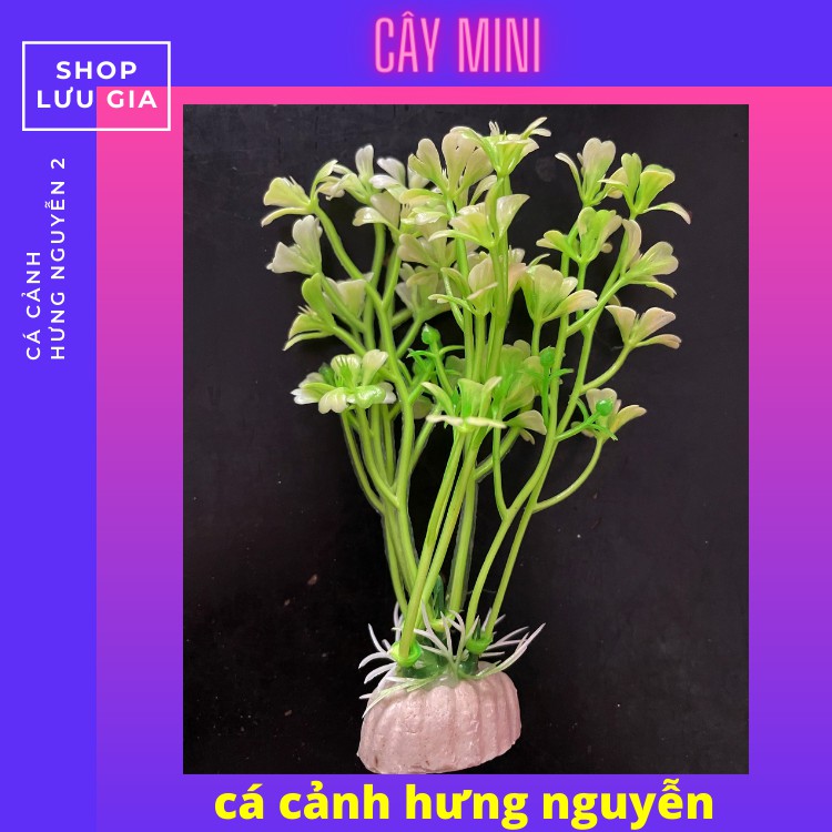 Cây cỏ nhựa size mini và to dùng trang trí hồ cá nhỏ [ ĐỦ MÀU ] | Phụ kiện cây nhựa trang trí bể cá cảnh | Lưu gia decor