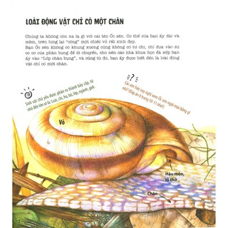 Sách - Ehon Nhìn Kìa! Ốc Sên Đang Bò