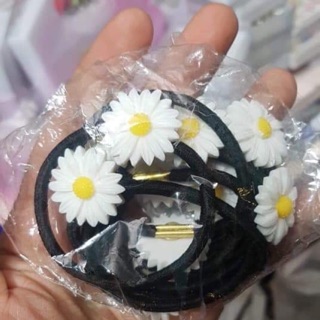 Combo 100 cúc hoạ mi