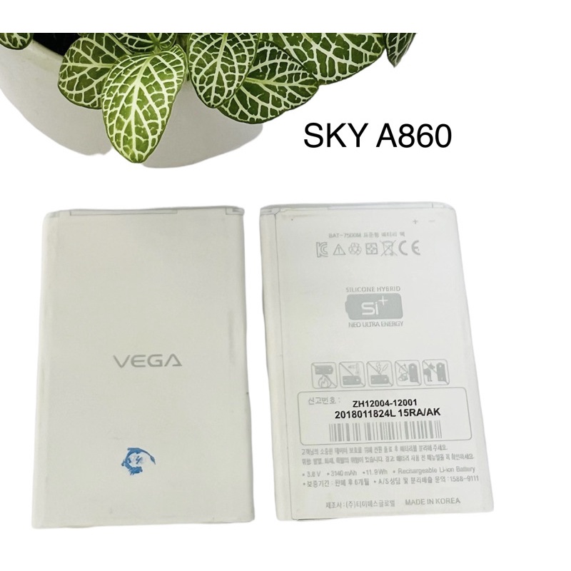 PIN SKY A860