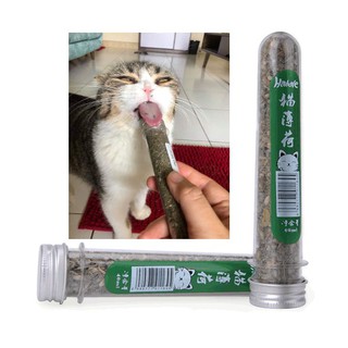 🐱🐱 CATNIP CỎ BẠC HÀ CHO MÈO