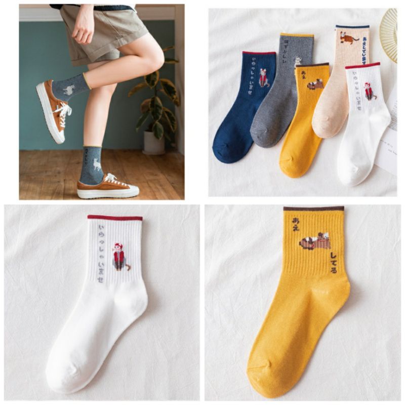 SET 5 ĐÔI TẤT NỮ CAO CỔ HÌNH MÈO CHO NỮ