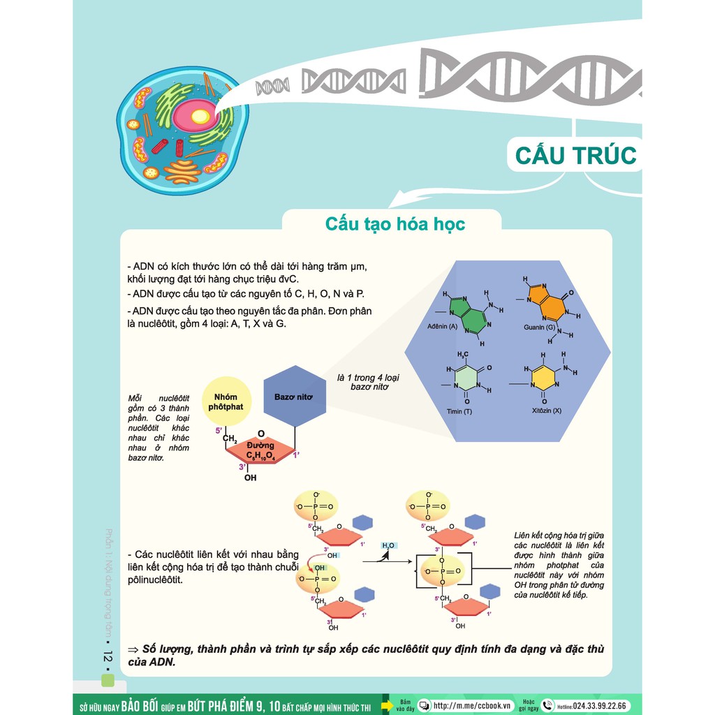 Sách - Đột phá 8+ môn Sinh học (tái bản 2020)