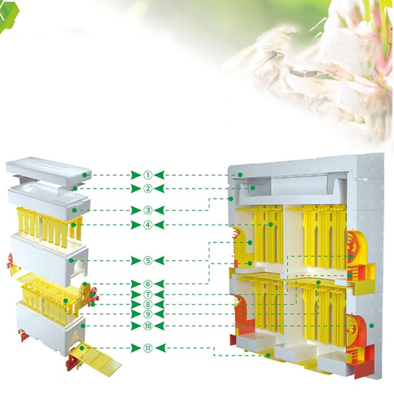 Hộp Nuôi Ong Chúa Bằng Nhựa Xốp Hai Ngăn Đa Năng