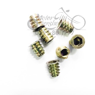 Túi ốc cấy gỗ phi 8 - 100 con