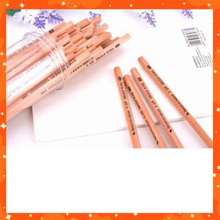 Combo 50 Bút Chì Gỗ 2B cao cấp