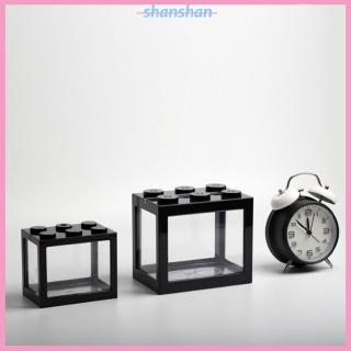 Bể cá mini trang trí hồ cá độc đáo