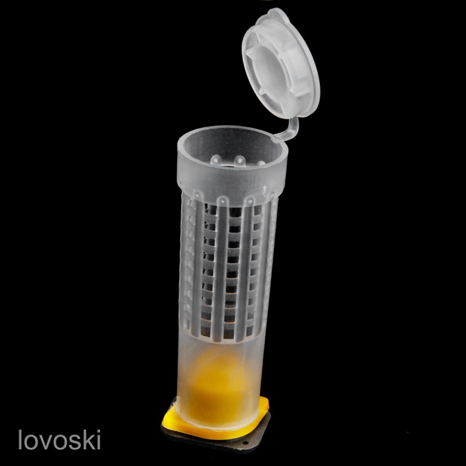 Set 5 lồng nuôi ong chúa tiện dụng