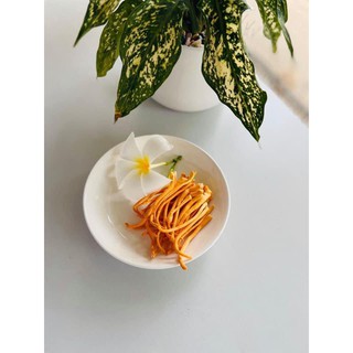 Đông Trùng Hạ Thảo Khô 10gram