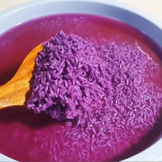 Cây lá cẩm tím (1 cây)