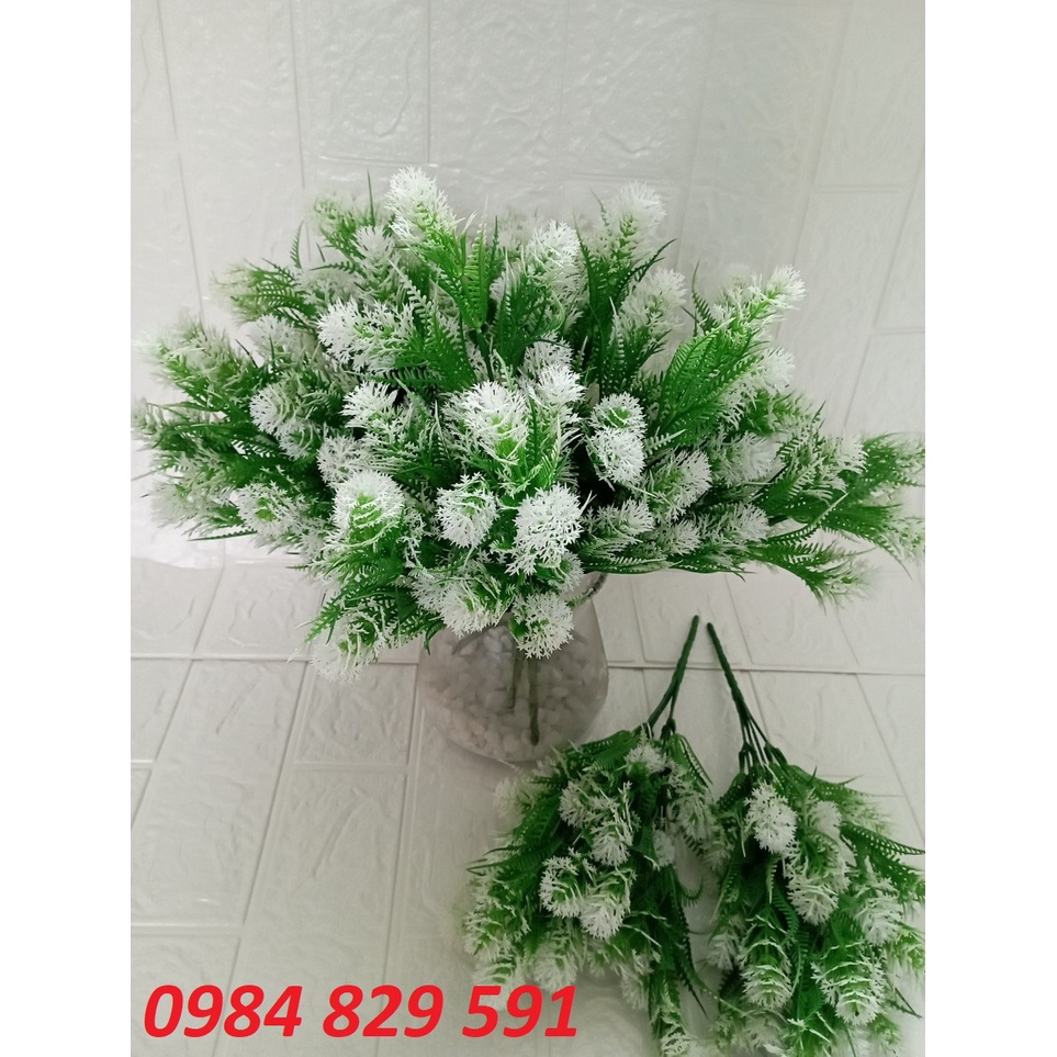 Cụm điểm dương xỉ có hoa