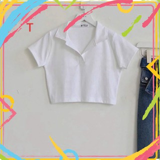 Áo PLO CROPTOP TRƠN TT12