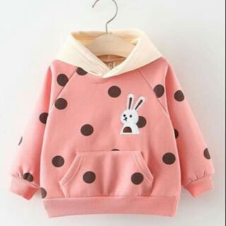 Áo nỉ hoodie
