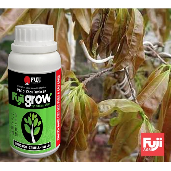 Phân bón mai vàng bung đọt FUJI GROW Japan 250ml