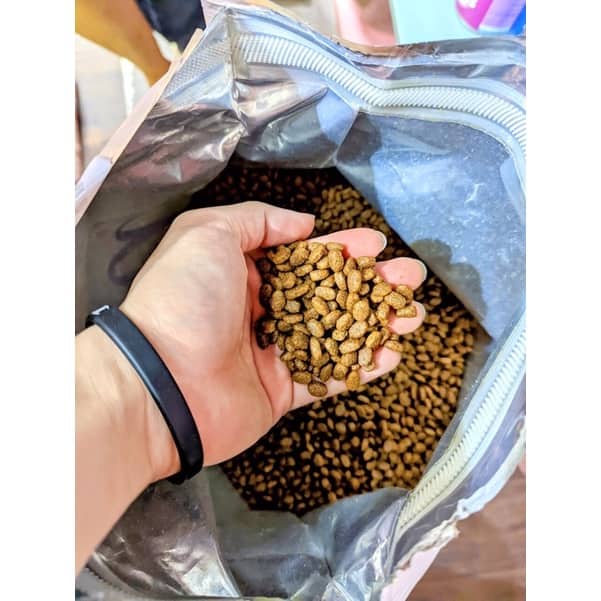 Thức ăn cho mèo trường thành hạt Mystic 3 vị