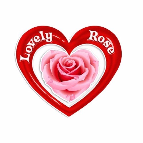 lovelyrosegrosir.vn, Cửa hàng trực tuyến | BigBuy360 - bigbuy360.vn