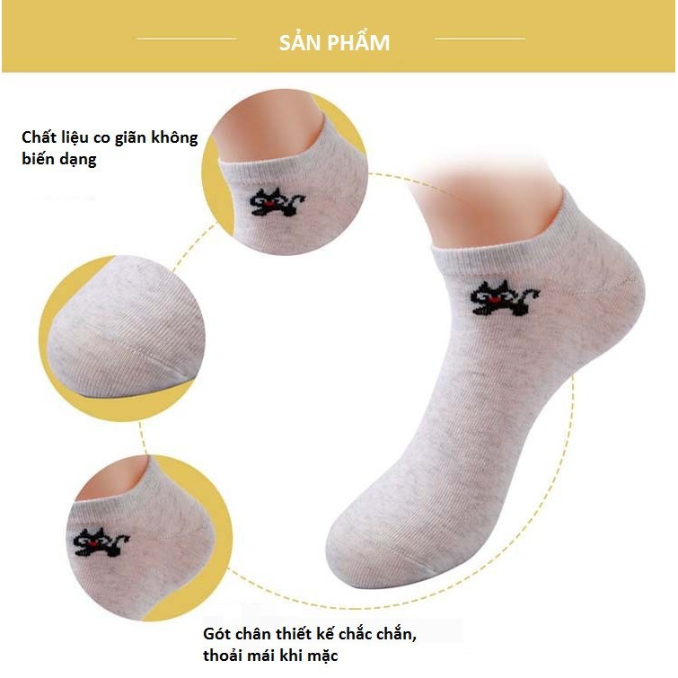 Combo 2 đôi tất nữ cotton kháng khuẩn - 100k