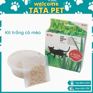 Bộ kit trồng cỏ mèo lúa mạch - hạt lúa mạch cho mèo nảy mầm 99%