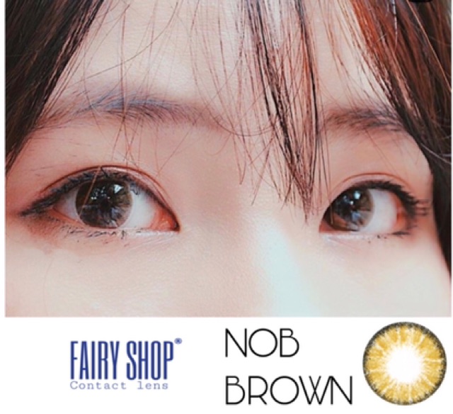 Áp tròng NOB BROWN 14.2mm - Kính Áp Tròng FAIRY SHOP CONTACT LENS