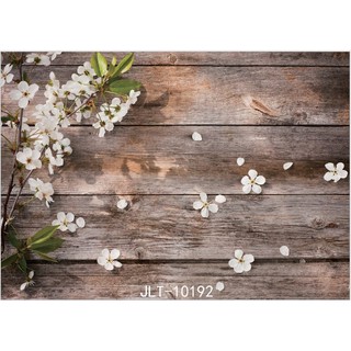 [Combo1] Thảm chụp hình 3D