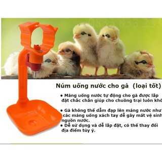 Núm Uống Cho Gà 1 Quai Bộ 10 Núm