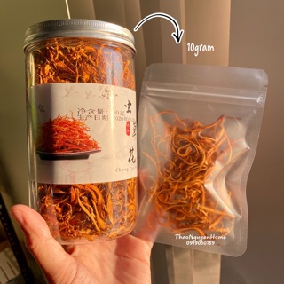 Đông trùng hạ thảo 10gr hàng chọn lọc ( nấm đông trùng)