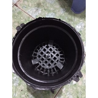 40 chậu bít 12 cm