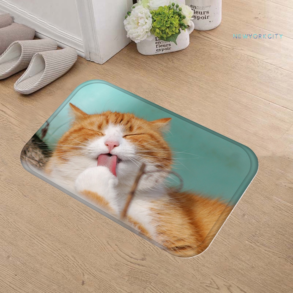 Thảm lót cửa chùi chân Chống Trượt In Hình Mèo 3D