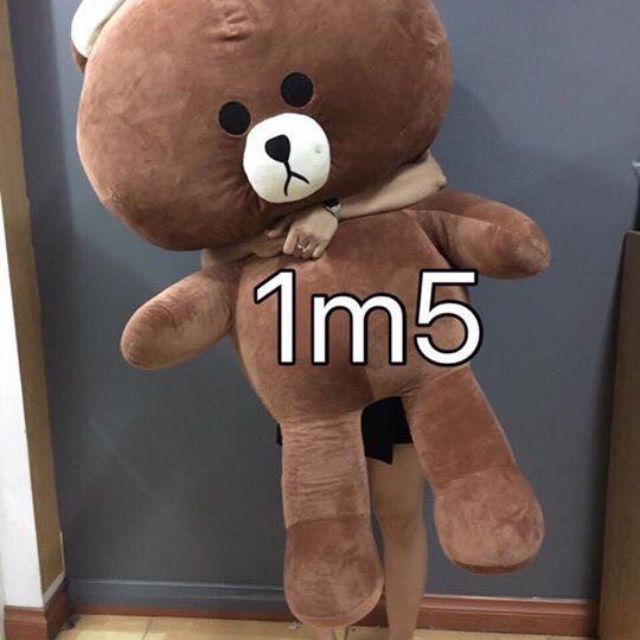 Gấu brown 1m_ 1m8