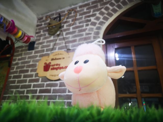 Cừu bông xinh xắn