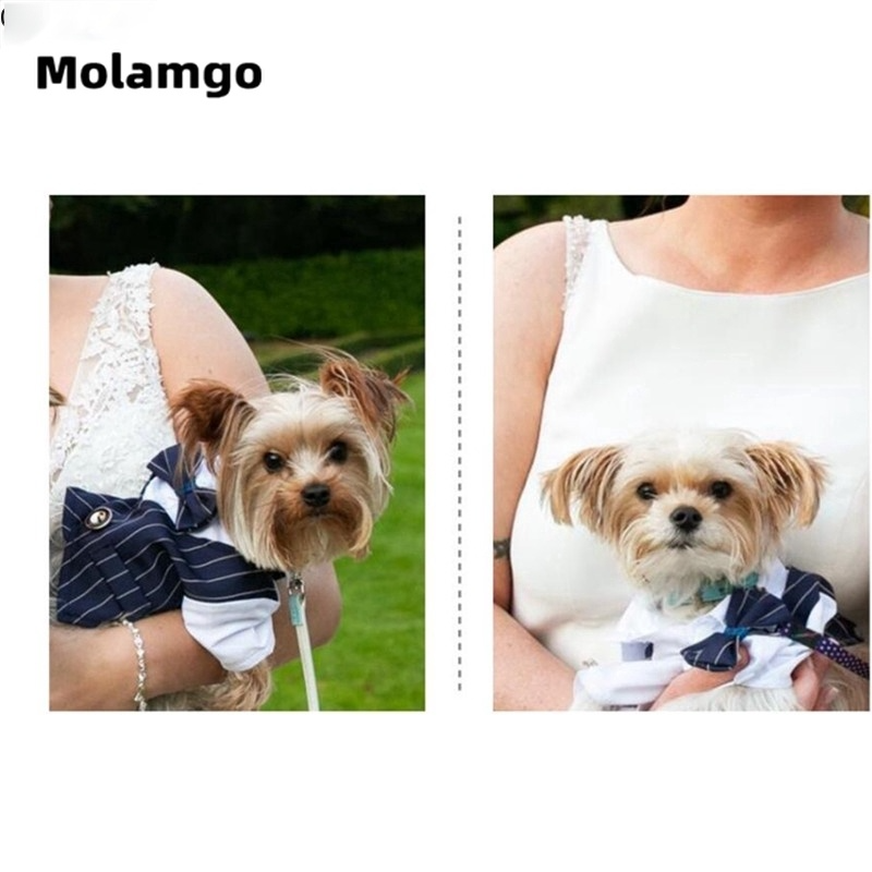 Bộ quần áo vest kiểu ngắn dành cho thú cưng