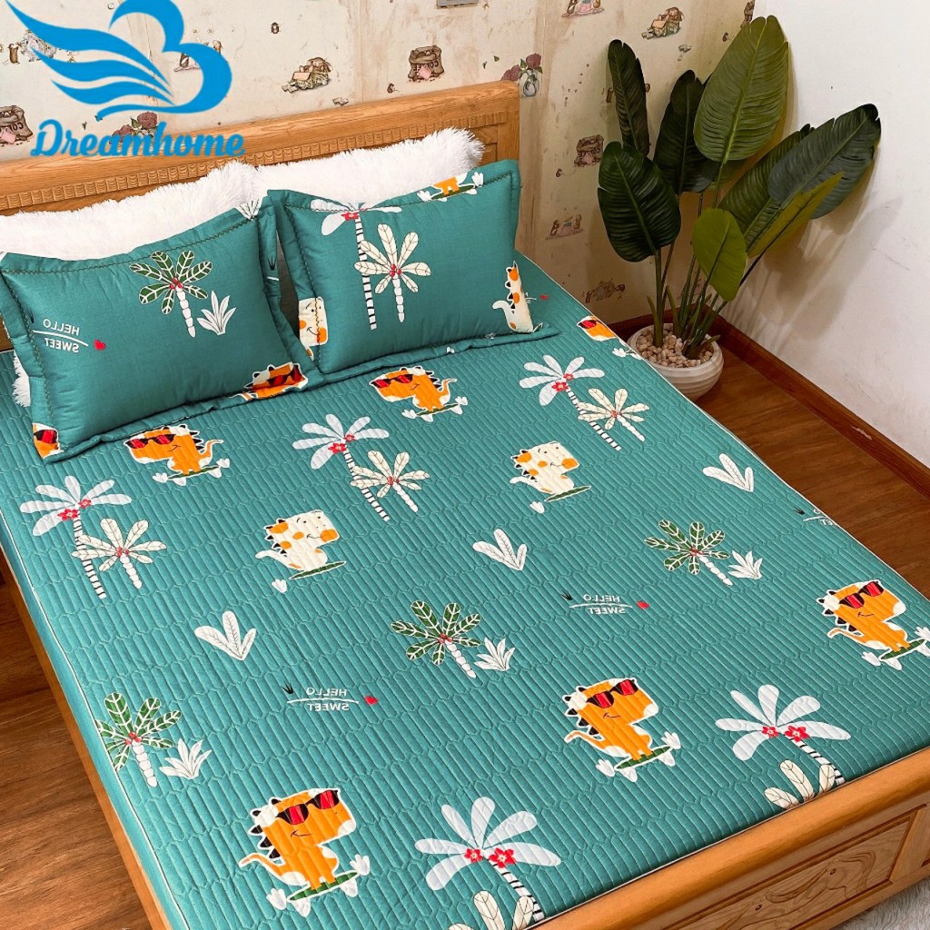 Bộ ga chun trần bông, 2 vỏ gối 45x65cm cotton 100% loại đẹp