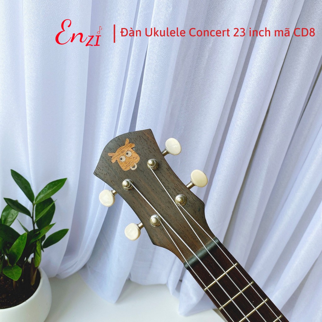 Đàn ukulele concert size 23 Enzi mẫu mới CD8 màu đen thiết kế nhỏ gọn, âm thanh vang sáng cho người mới bắt đầu