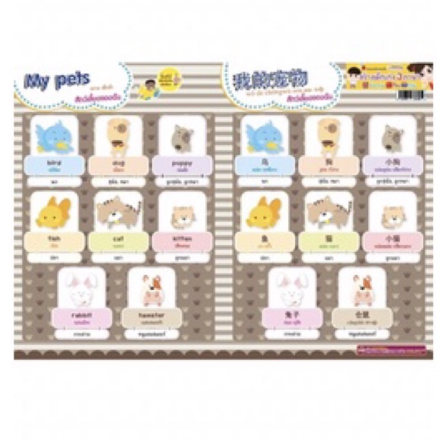 Bảng áp phích từ hình ảnh theo chủ đề 3 tiếng Anh Thái Trung