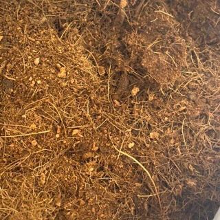 600gram xơ dừa - nguyên liệu trộn đất trồng cây