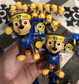 Chó cứu hộ Chase