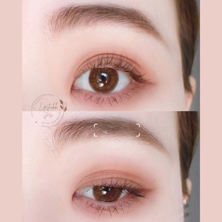 Phấn mắt Canmake Perfect Multy Eyes 05