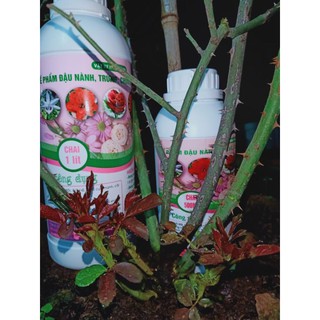 15 kg Phân gà nhật