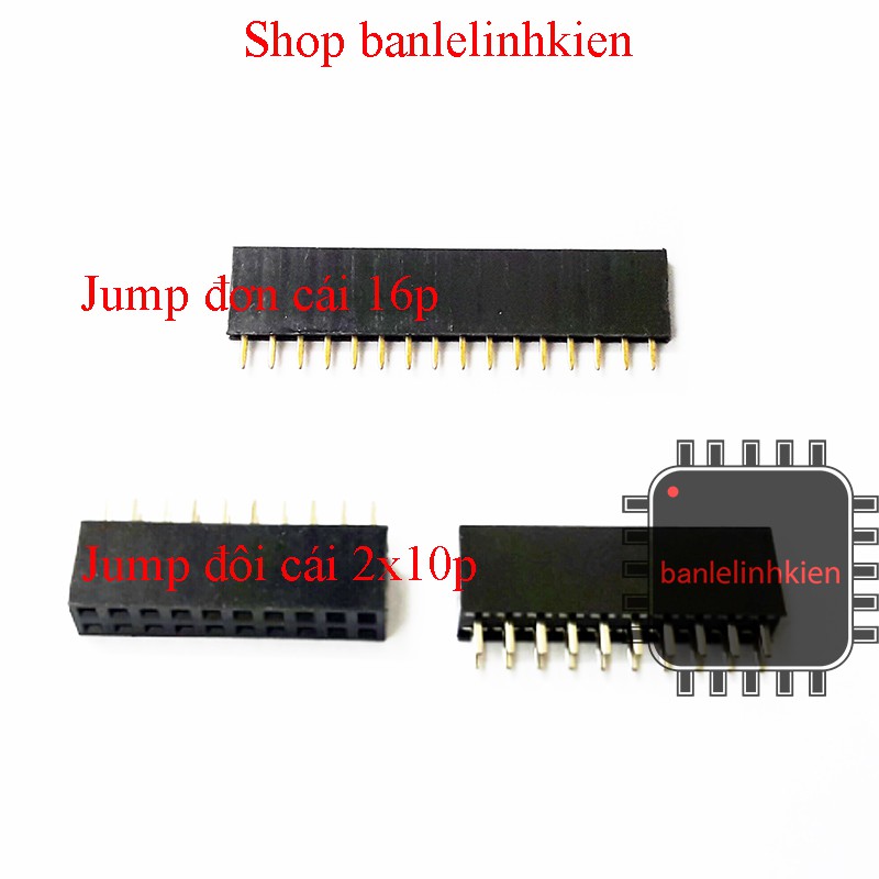 Jump cái 2.54mm các loại | BigBuy360 - bigbuy360.vn