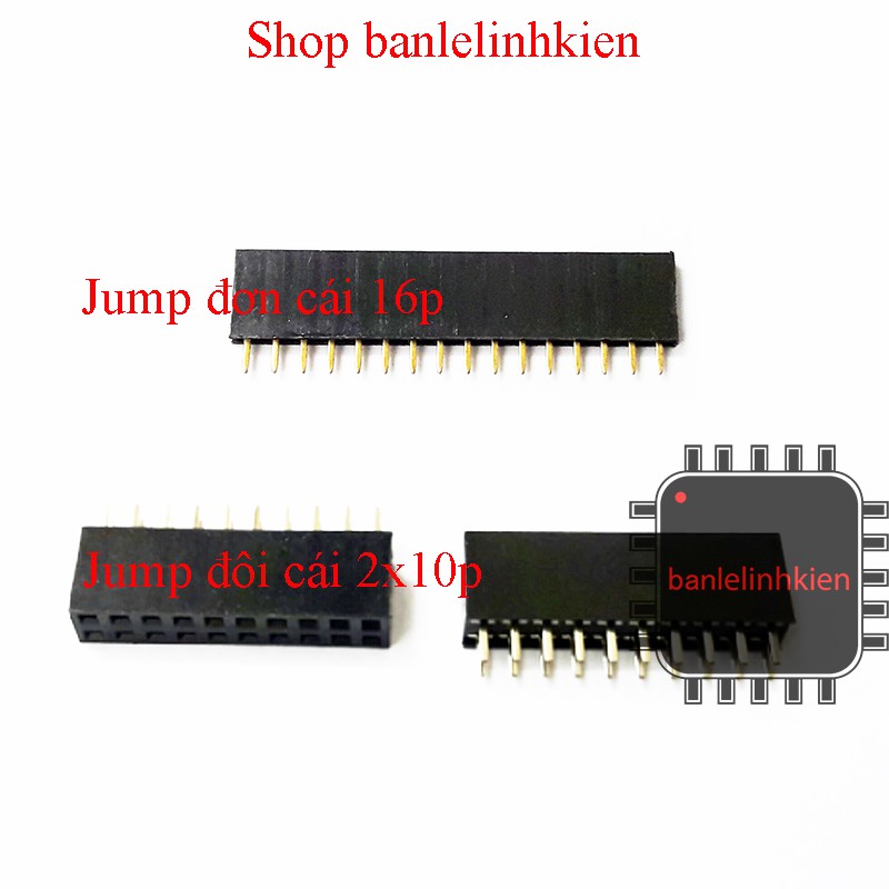 Jump cái 2.54mm các loại