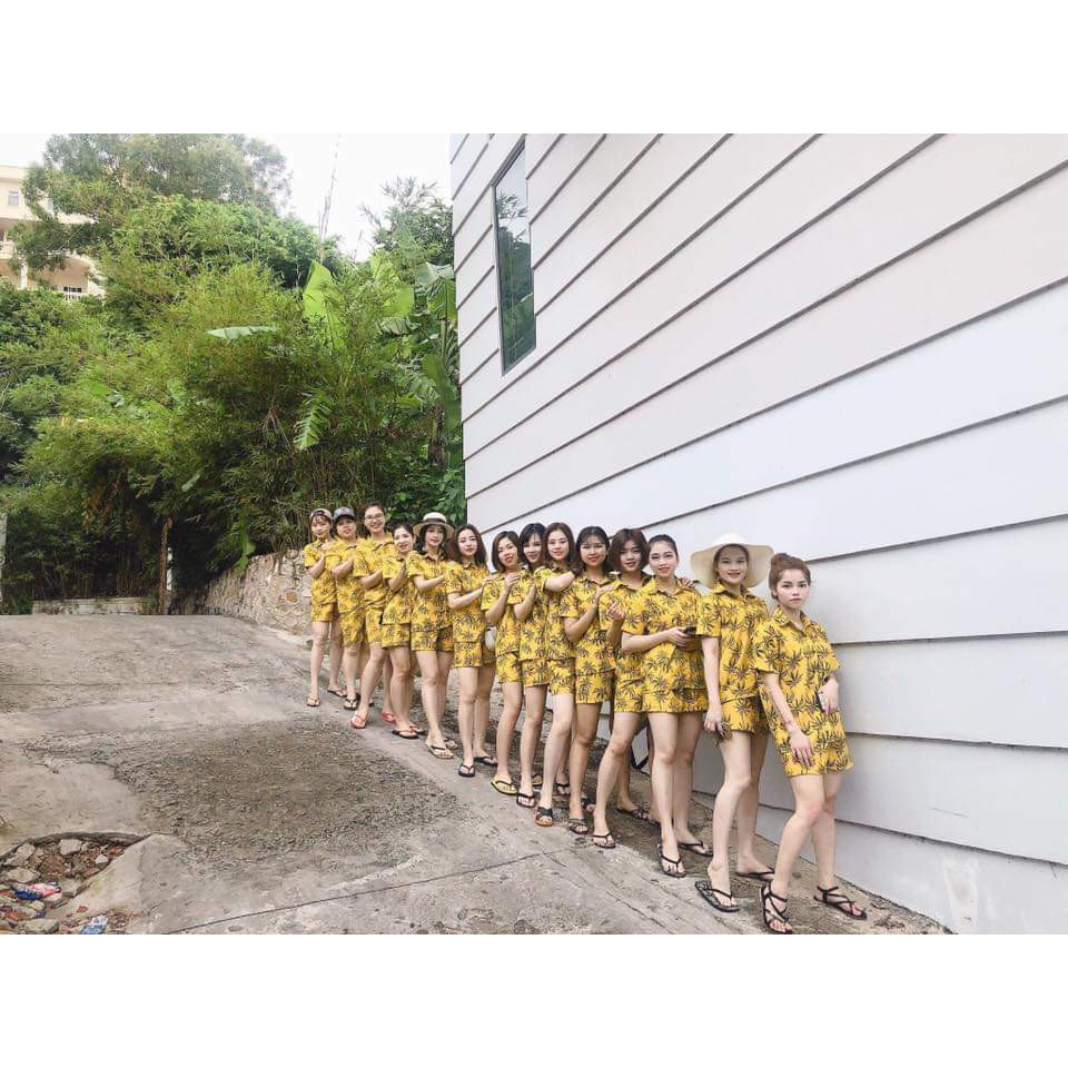 SET BỘ CỌ VÀNG ĐI BIỂN (ảnh chụp thật) | BigBuy360 - bigbuy360.vn