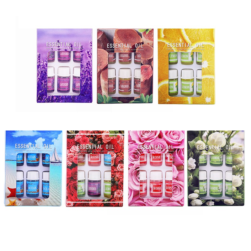 (Hàng Mới Về) Set 6 Lọ Tinh Dầu Làm Ẩm Không Khí 3ml | BigBuy360 - bigbuy360.vn