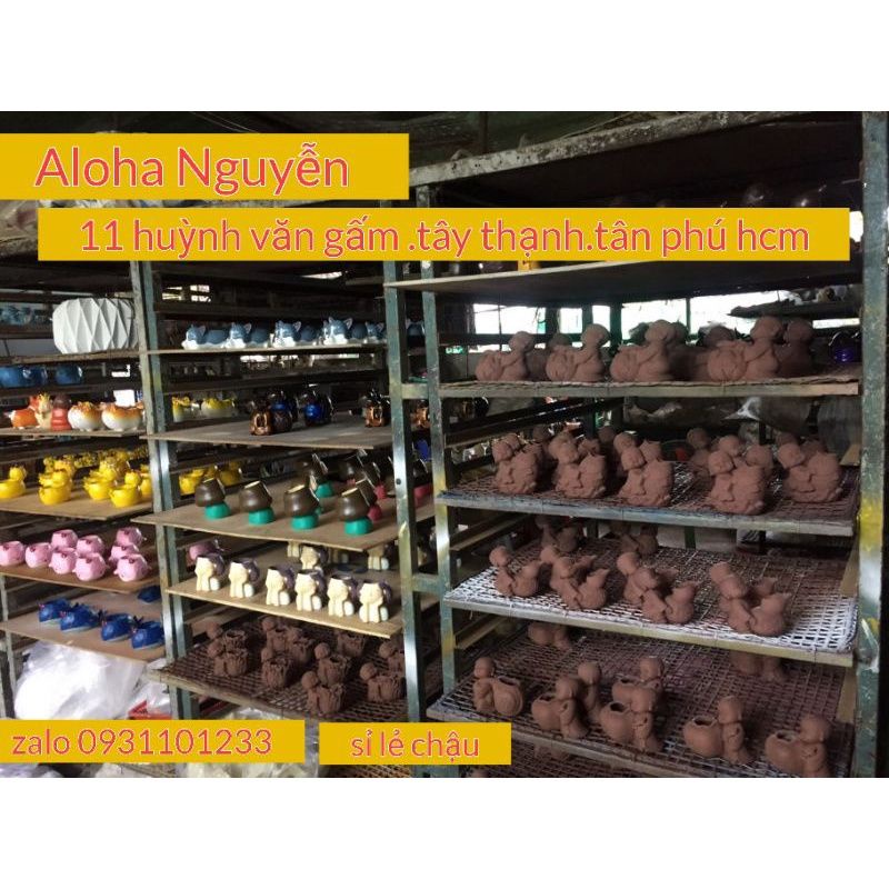 Chậu người trồng cây trang trí .tặng kèm sen đá .bao bể.