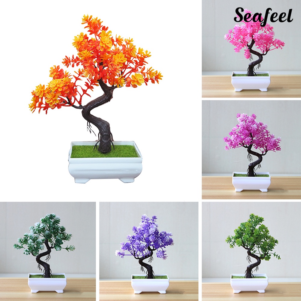 Chậu Cây Bonsai Giả Trang Trí Bàn