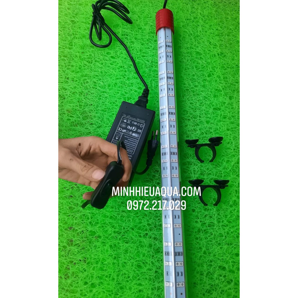 Đèn T10, Đèn Led Tanning Huyết Long Coco T10 1m2, 1m5, 1m8 màu đỏ 4 hàng led chữ V tanning cho huyết long