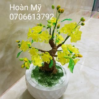 Combo nguyên vật liệu làm cây mai 99k