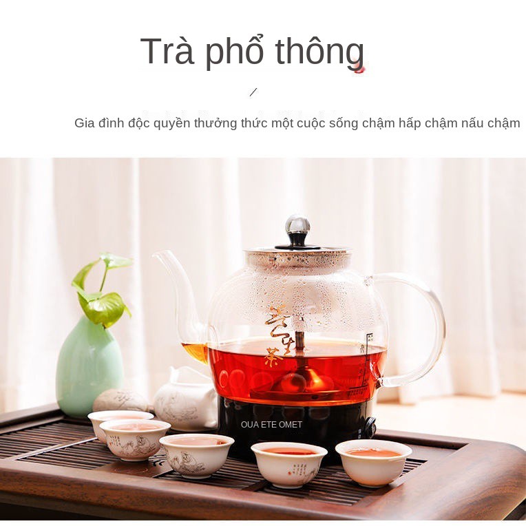 Máy pha trà đen văn phòng gia đình nhỏ đa chức năng phun hơi nước loại dùng cho sức khỏe Bếp điện trà, ấm thủy tinh