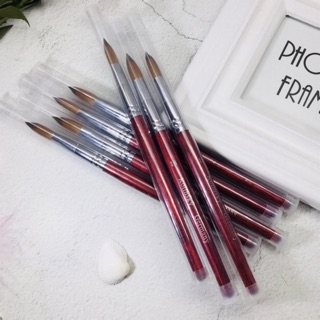 Cọ đắp bột kolinsky 12,14,16,18