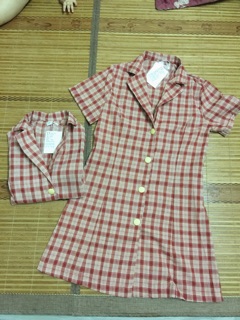 Váy cổ vest
