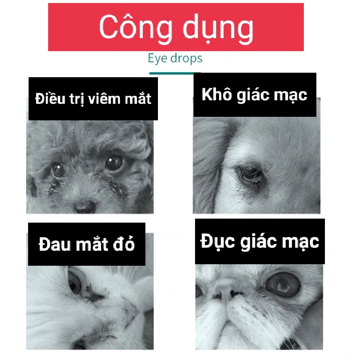 Nhỏ mắt cho chó mèo Dorrikey chai lớn 60ml - Hàng Date mới